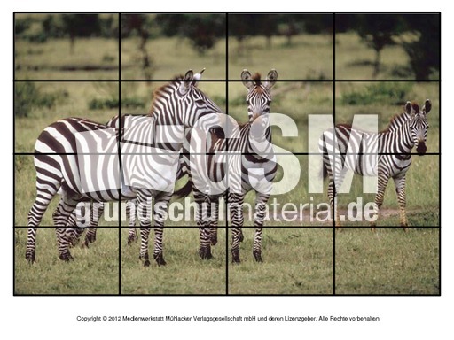 Puzzle-Zebra-3.pdf
